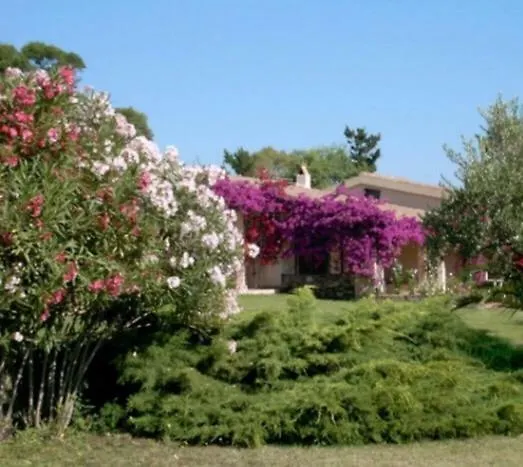 Visit San Teodoro Villa